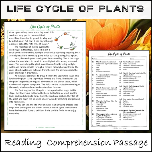 Life Cycle Of Plants Reading Comprehension Passage and Questions | Printable PDF