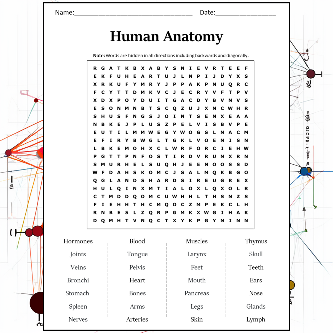 Human Anatomy Word Search Puzzle Worksheet Activity PDF