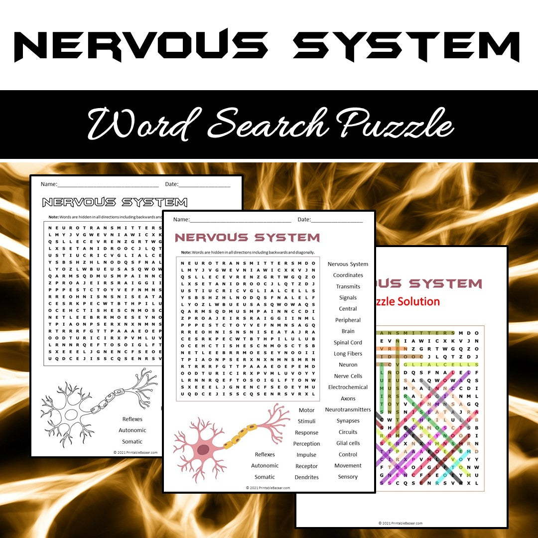 Nervous System Word Search Puzzle Worksheet PDF