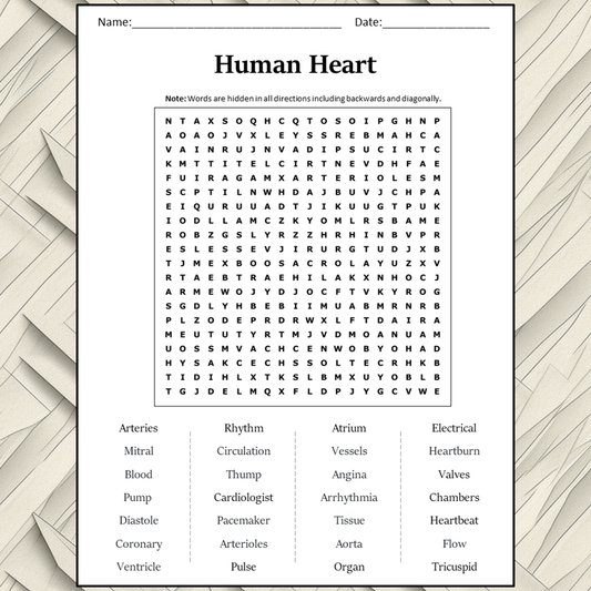 Human Heart Word Search Puzzle Worksheet Activity PDF