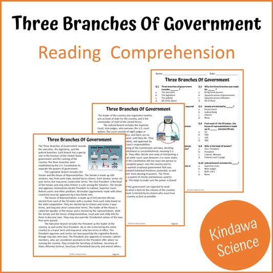 Three Branches Of Government Reading Comprehension Passage and Questions | Printable PDF