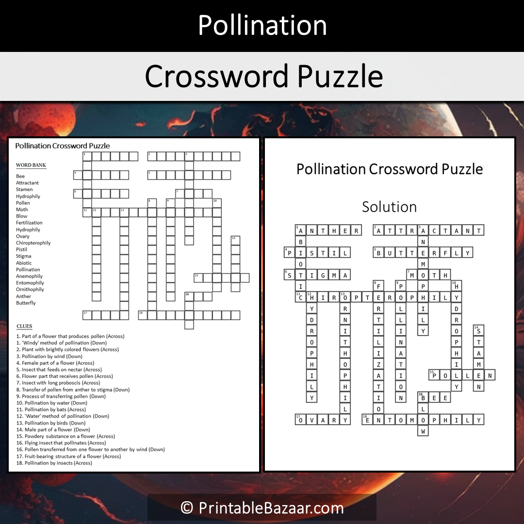 Pollination Crossword Puzzle Worksheet Activity Printable PDF