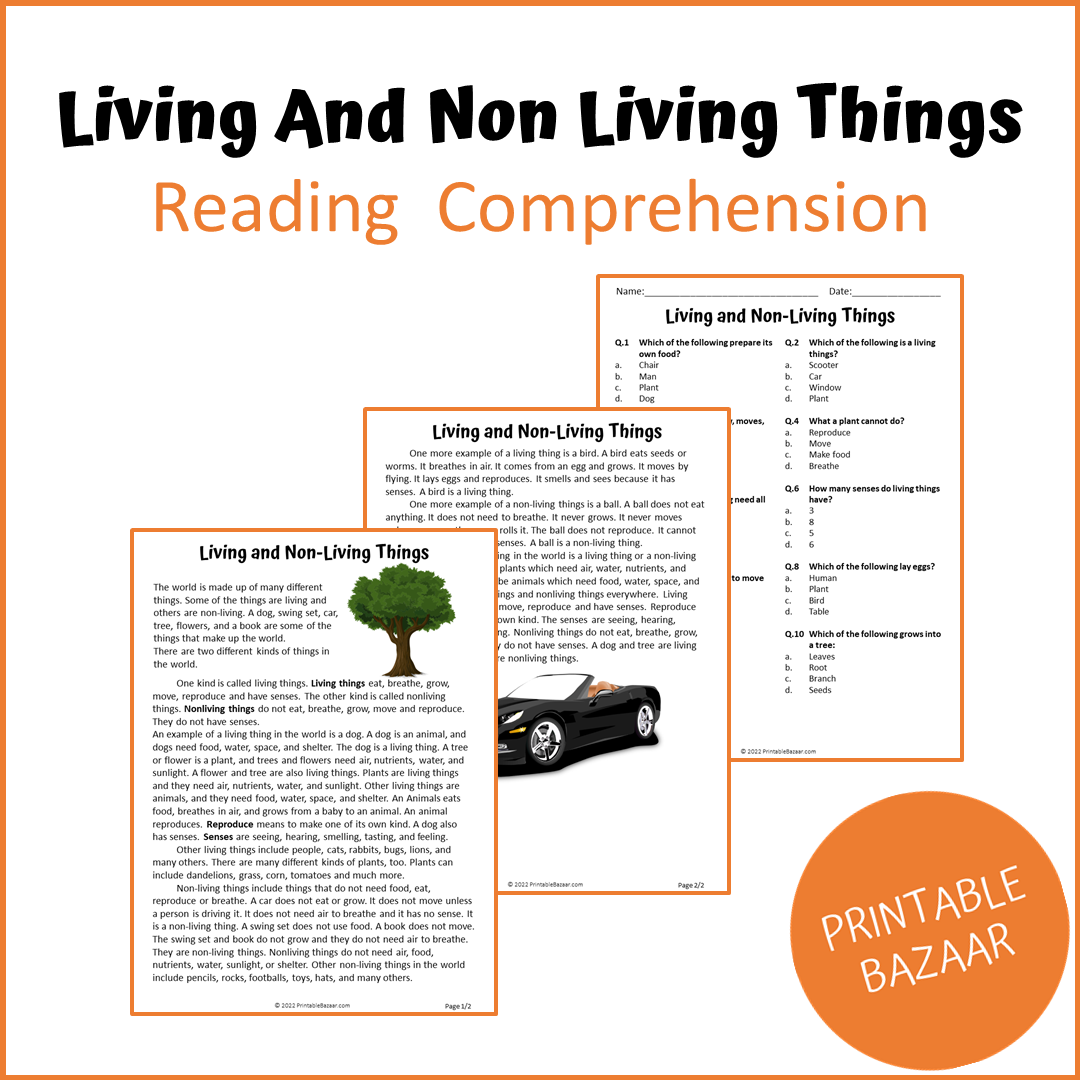 Living and Non-Living Reading Comprehension Passage and Questions | Printable PDF