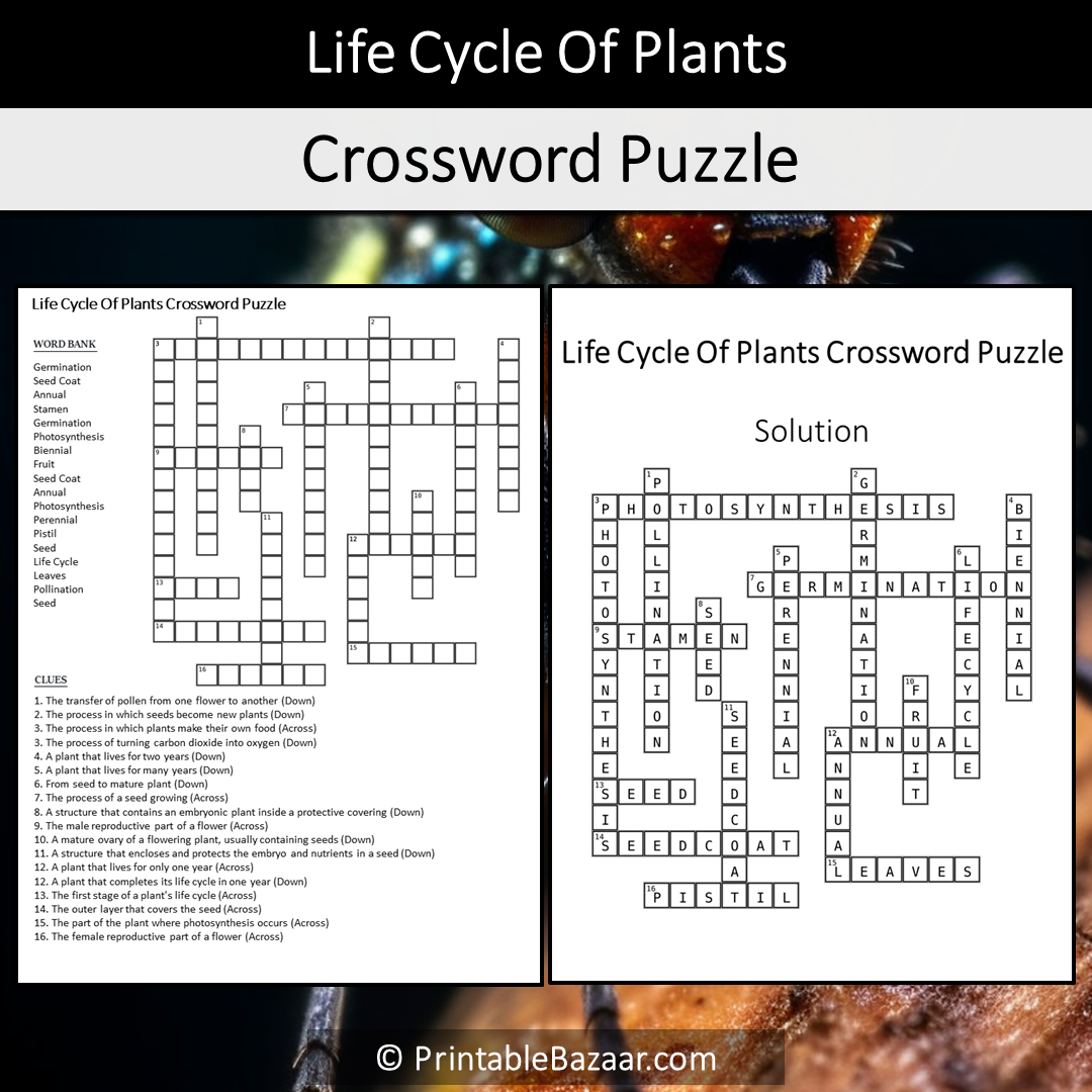 Life Cycle Of Plants Crossword Puzzle Worksheet Activity Printable PDF