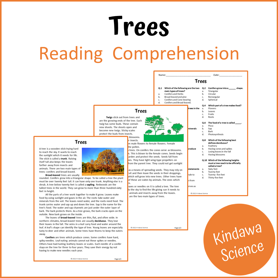 Trees Reading Comprehension Passage and Questions | Printable PDF ...