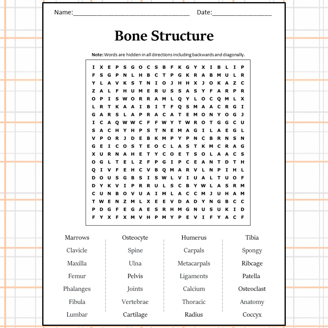 Bone Structure Word Search Puzzle Worksheet Activity PDF