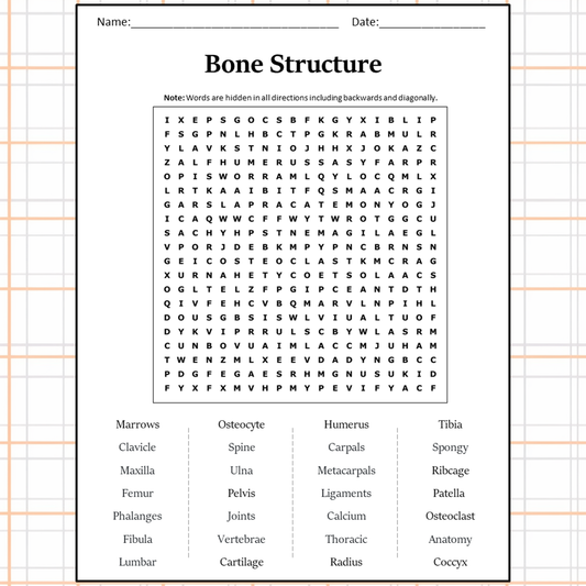 Bone Structure Word Search Puzzle Worksheet Activity PDF