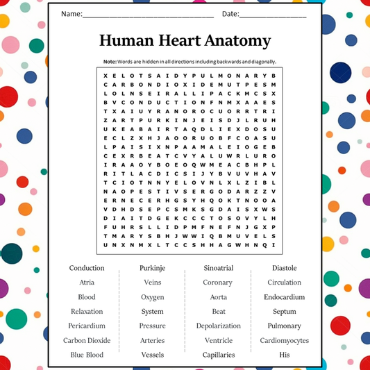 Human Heart Anatomy Word Search Puzzle Worksheet Activity PDF