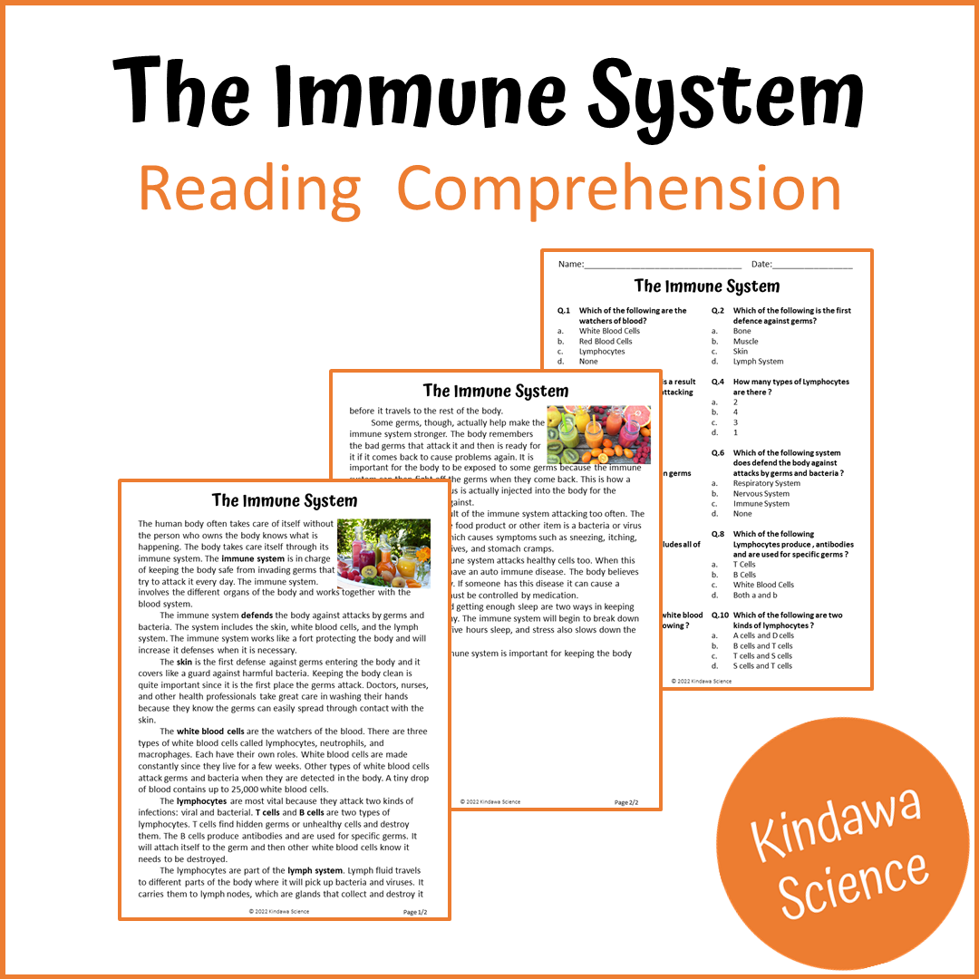 The Immune System Reading Comprehension Passage and Questions | Printable PDF