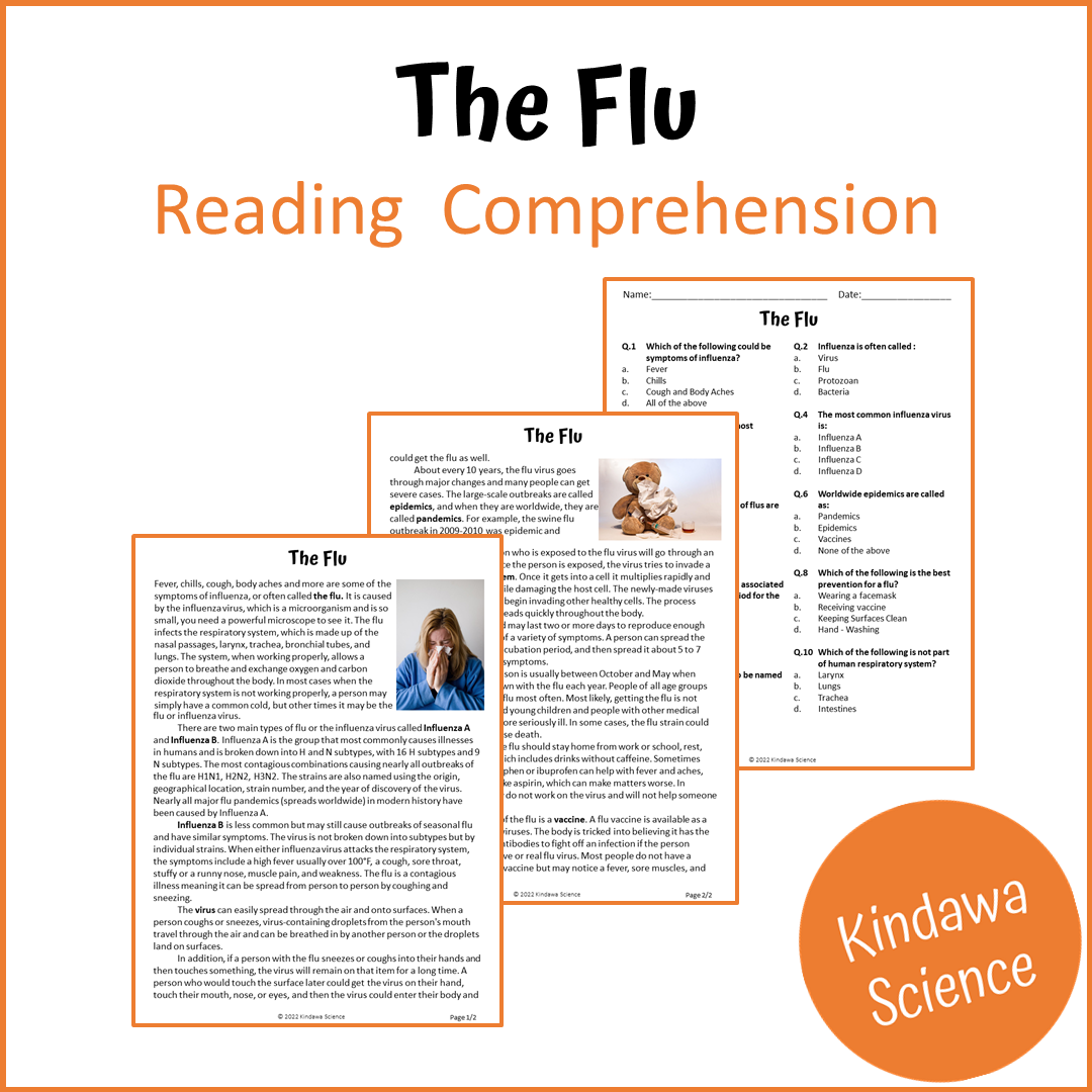 The Flu Reading Comprehension Passage and Questions | Printable PDF