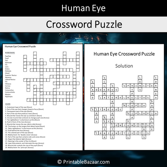 Human Eye Crossword Puzzle Worksheet Activity Printable PDF