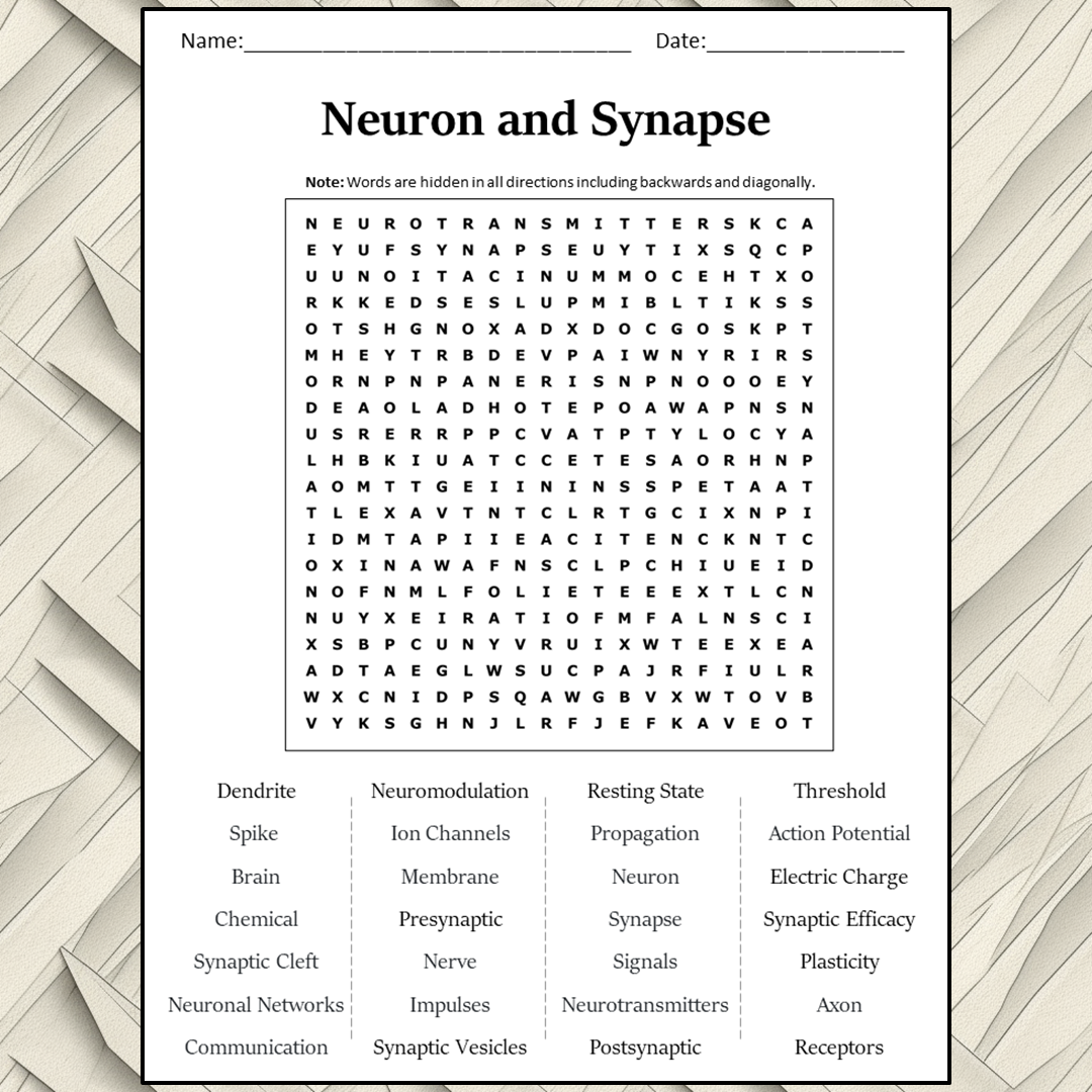 Neuron And Synapse Word Search Puzzle Worksheet Activity PDF