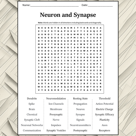 Neuron And Synapse Word Search Puzzle Worksheet Activity PDF