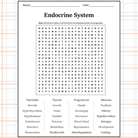 Endocrine System Word Search Puzzle Worksheet Activity PDF