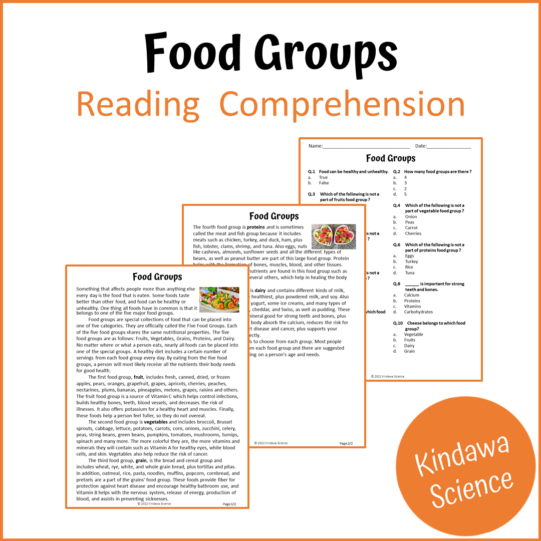 Food Groups Reading Comprehension Passage and Questions | Printable PDF