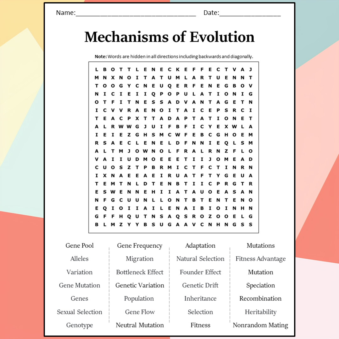 Mechanisms Of Evolution Word Search Puzzle Worksheet Activity PDF