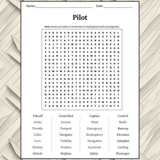 Pilot Word Search Puzzle Worksheet Activity PDF