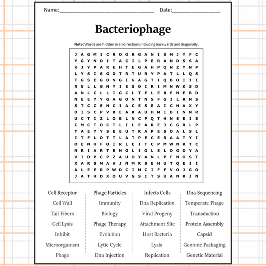 Bacteriophage Word Search Puzzle Worksheet Activity PDF