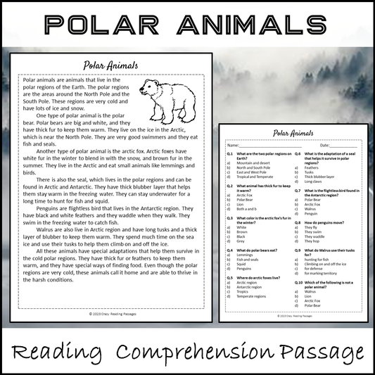 Polar Animals Reading Comprehension Passage and Questions | Printable PDF