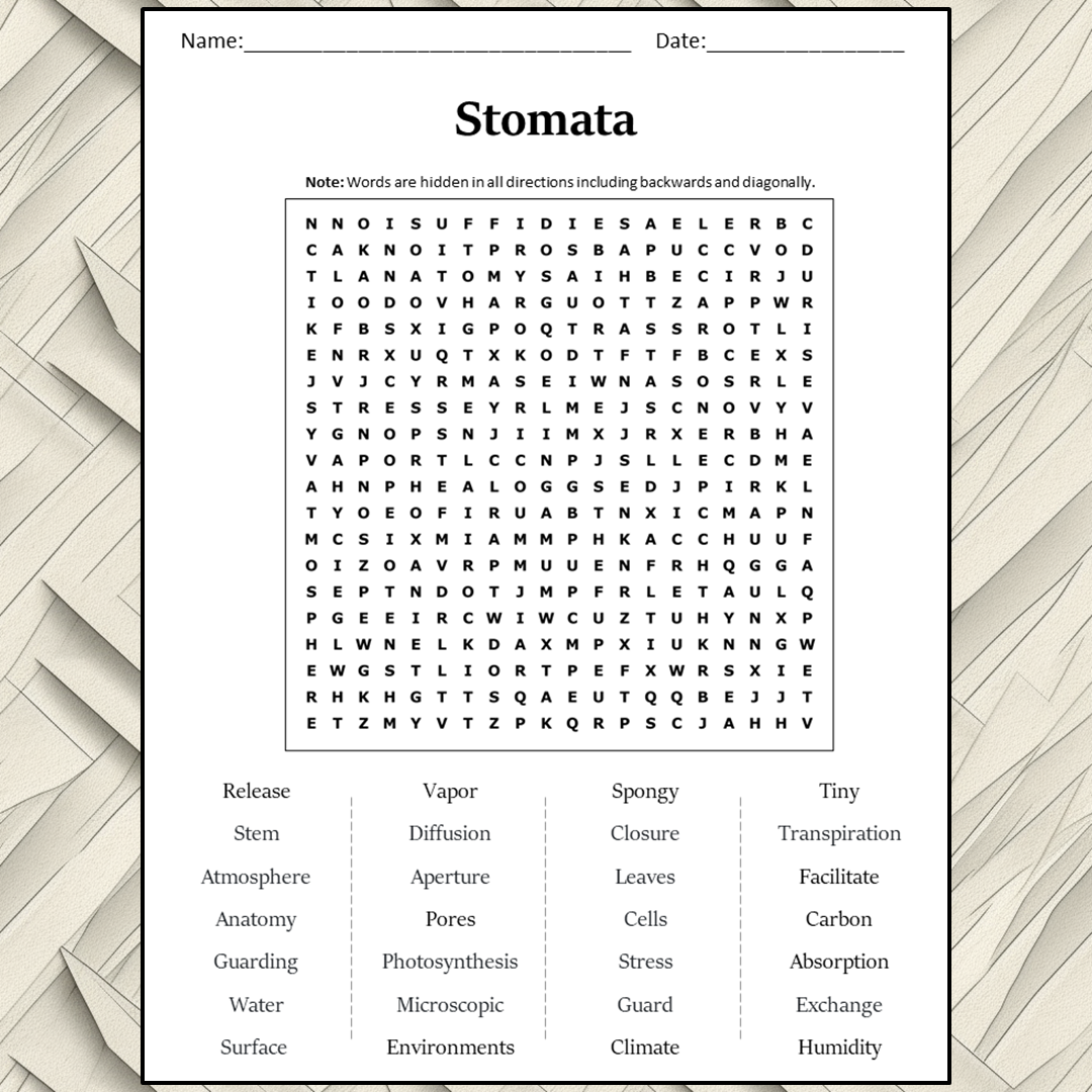 Stomata Word Search Puzzle Worksheet Activity PDF