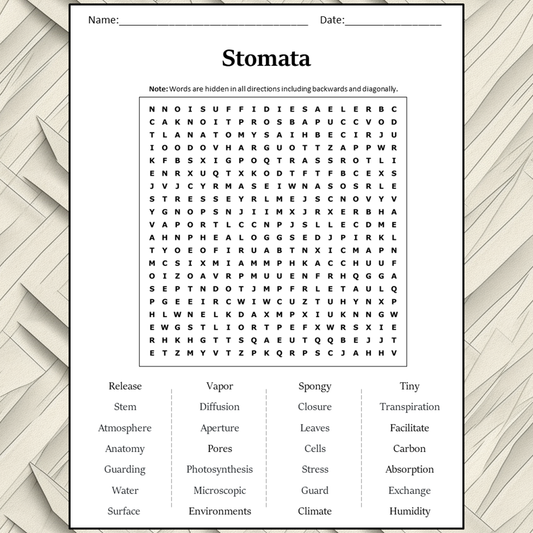 Stomata Word Search Puzzle Worksheet Activity PDF