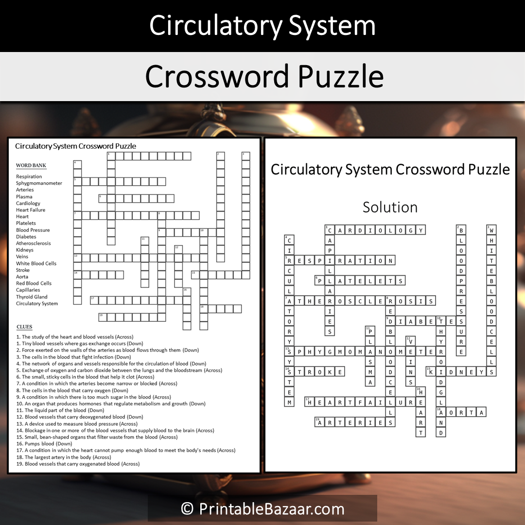 Circulatory System Crossword Puzzle Worksheet Activity Printable PDF