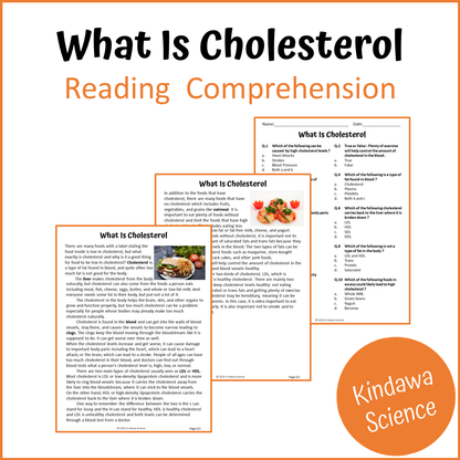 What Is Cholesterol Reading Comprehension Passage and Questions | Printable PDF