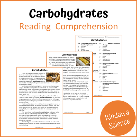 Carbohydrates Reading Comprehension Passage and Questions | Printable PDF