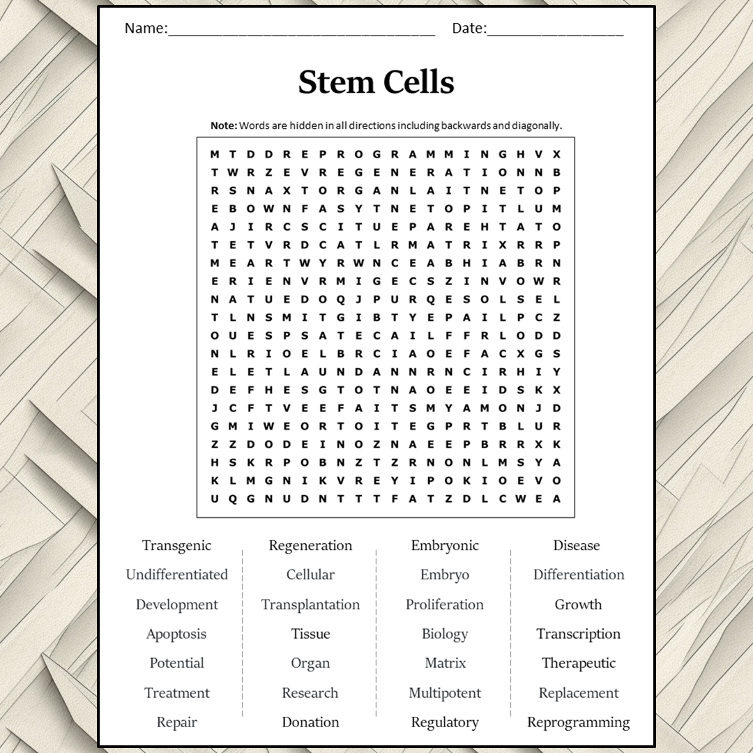 Stem Cells Word Search Puzzle Worksheet Activity PDF