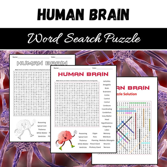 Human Brain Word Search Puzzle Worksheet PDF