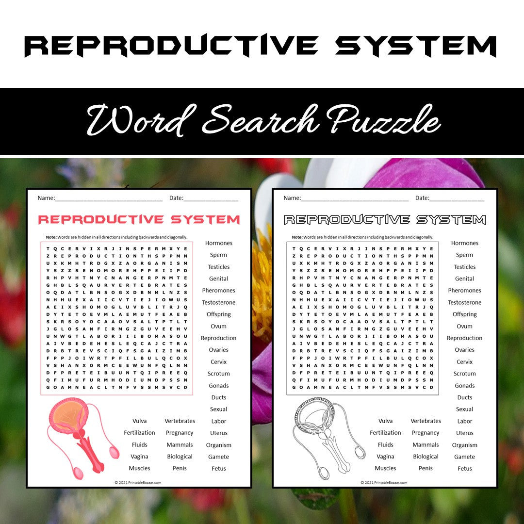 Reproductive System Word Search Puzzle Worksheet PDF