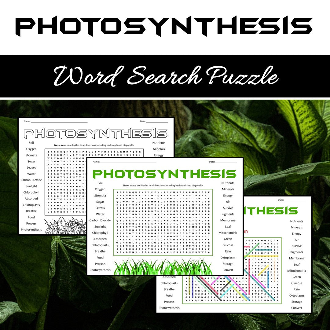 Photosynthesis Word Search Puzzle Worksheet PDF