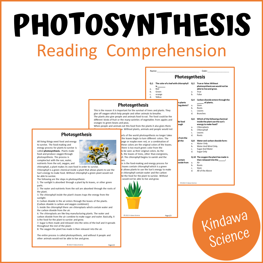 Photosynthesis Reading Comprehension Passage and Questions | Printable PDF