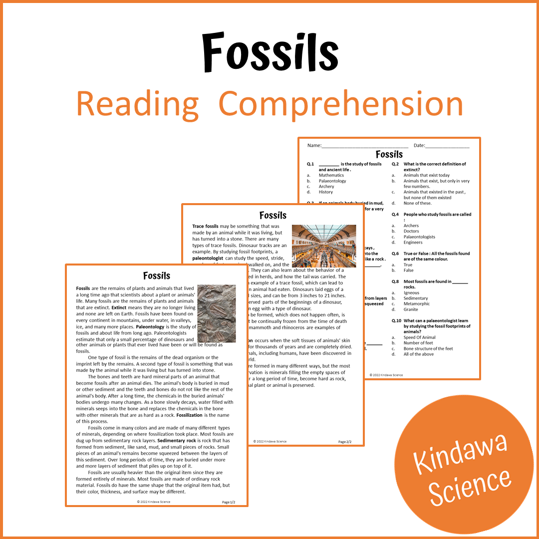 Fossils Reading Comprehension Passage and Questions | Printable PDF