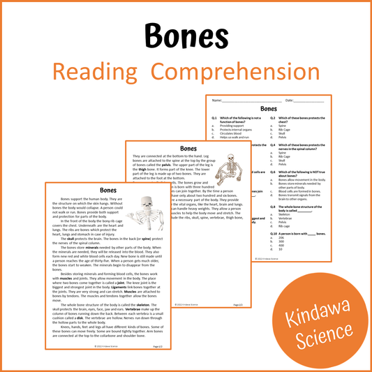 Bones Reading Comprehension Passage and Questions | Printable PDF