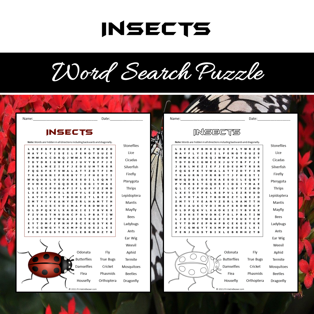Insects Word Search Puzzle Worksheet PDF