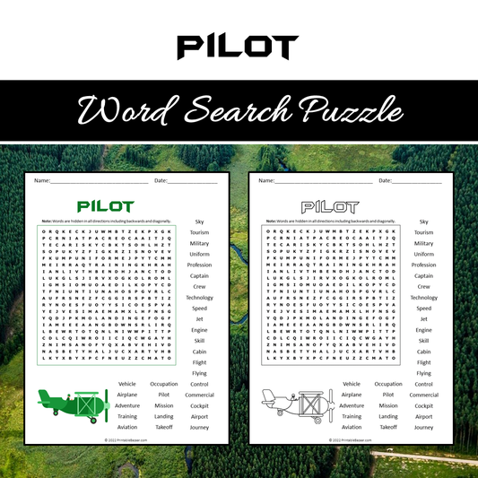 Pilot Word Search Puzzle Worksheet PDF