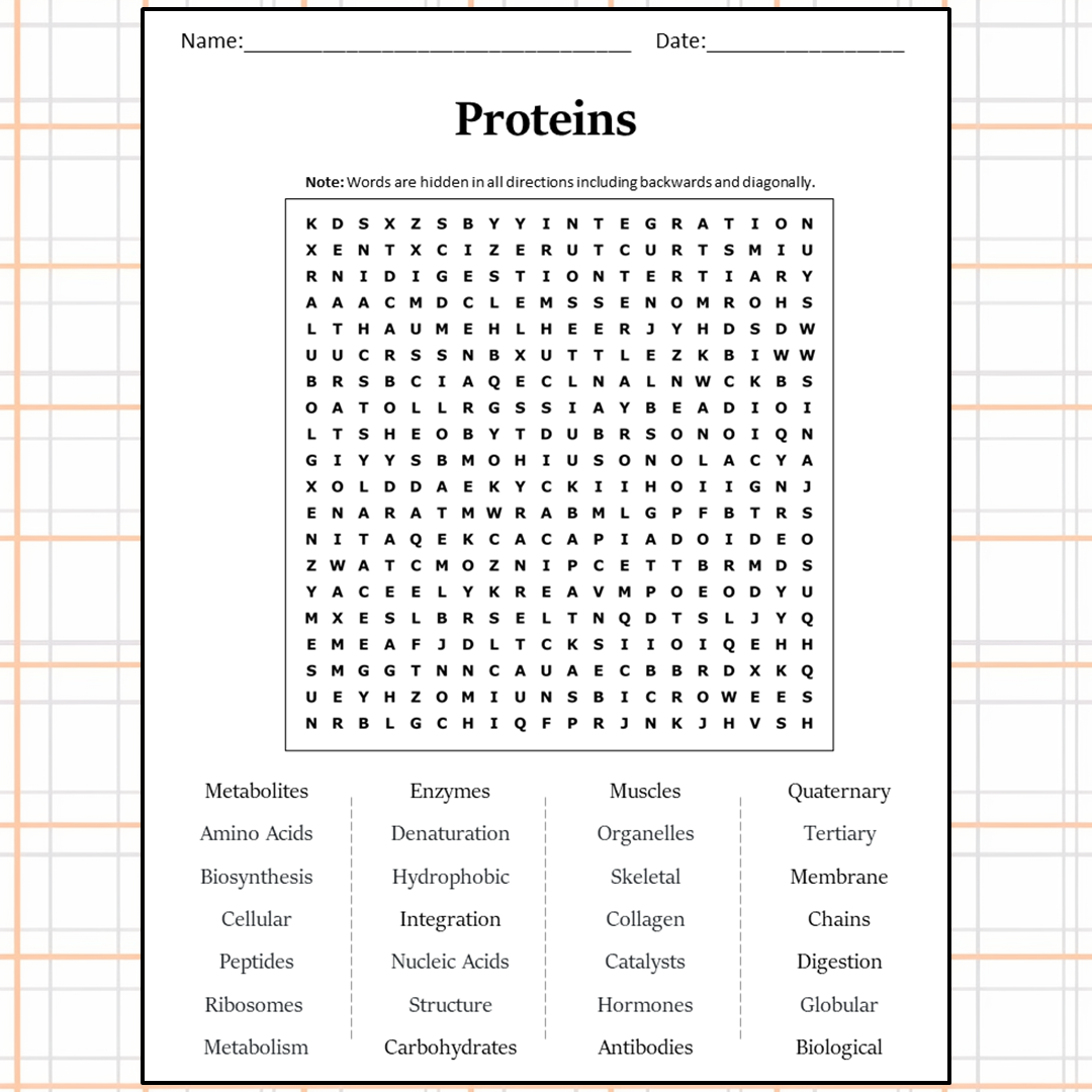 Proteins Word Search Puzzle Worksheet Activity PDF