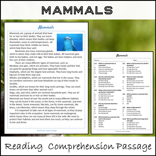 Mammals Reading Comprehension Passage and Questions | Printable PDF