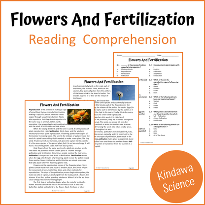 Flowers And Fertilization Reading Comprehension Passage and Questions | Printable PDF