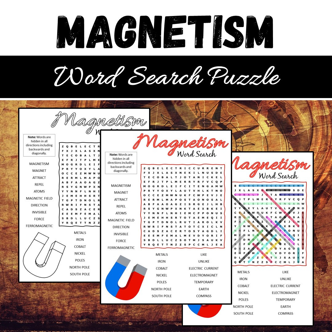 Magnetism Word Search Puzzle Worksheet PDF