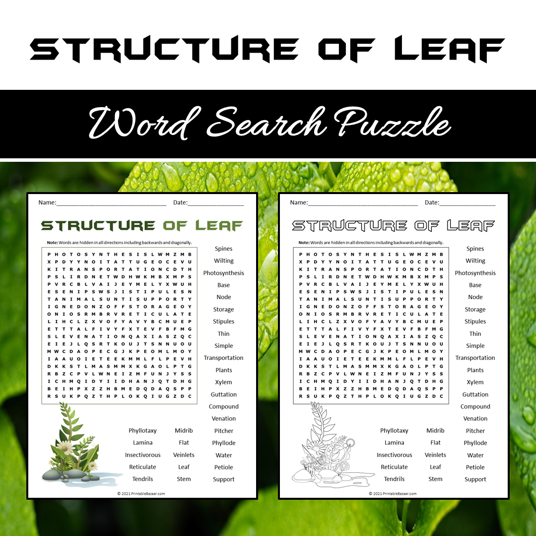 Structure Of Leaf Word Search Puzzle Worksheet PDF