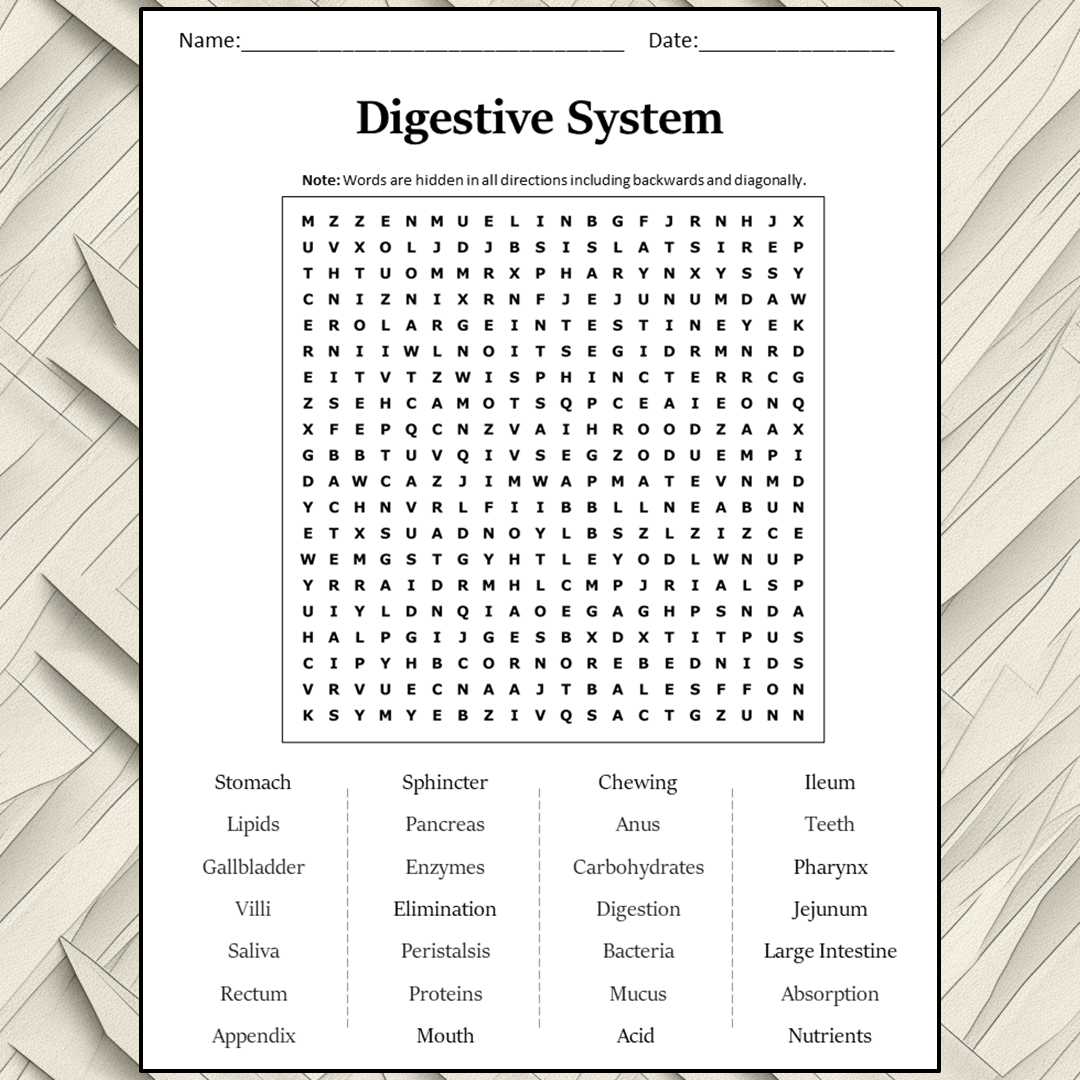 Digestive System Word Search Puzzle Worksheet Activity PDF