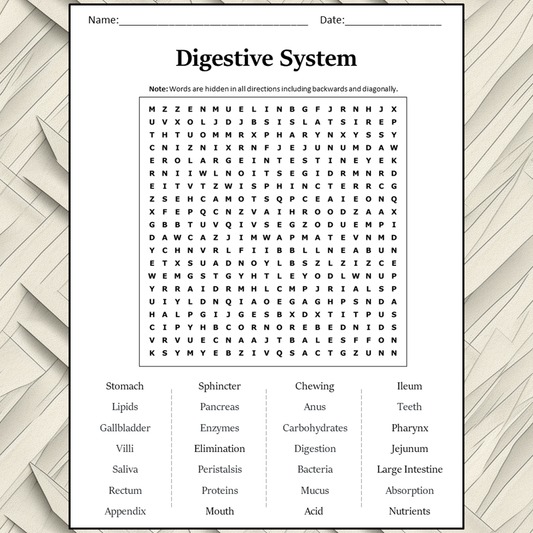 Digestive System Word Search Puzzle Worksheet Activity PDF