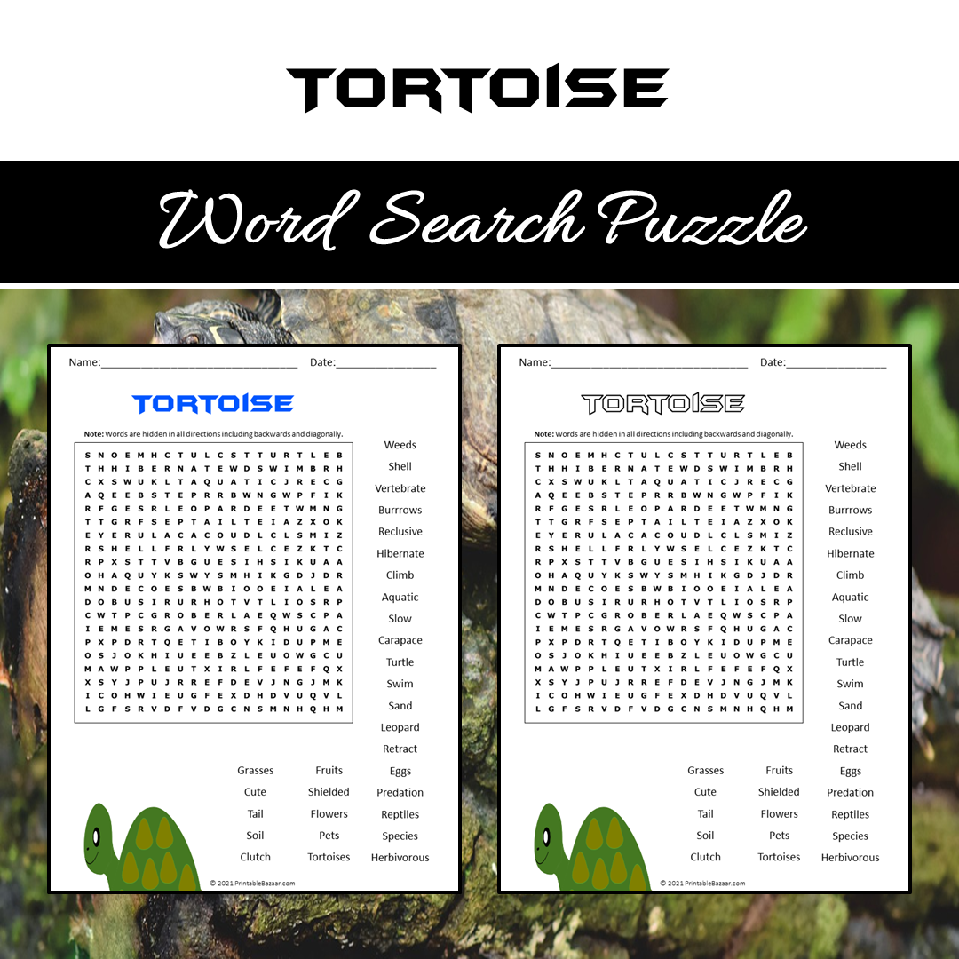 Tortoise Word Search Puzzle Worksheet PDF