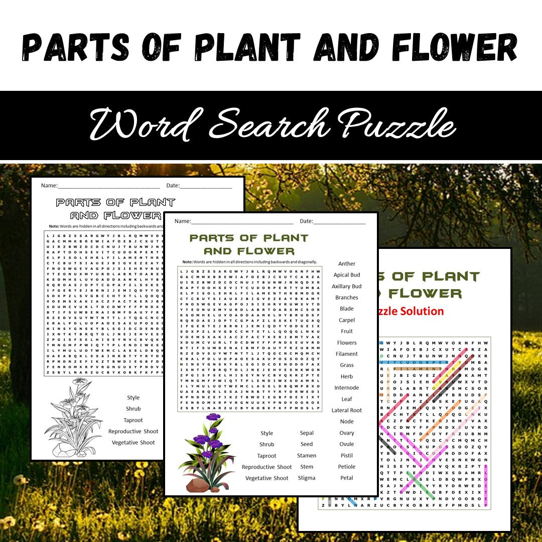 Parts Of Plant and Flower Word Search Puzzle Worksheet PDF