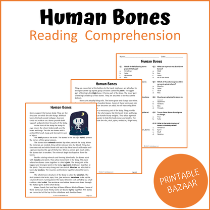 Human Bones Reading Comprehension Passage and Questions | Printable PDF
