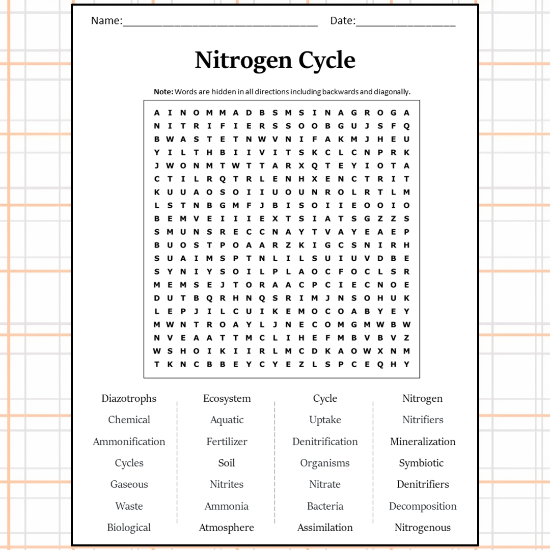 Nitrogen Cycle Word Search Puzzle Worksheet Activity PDF