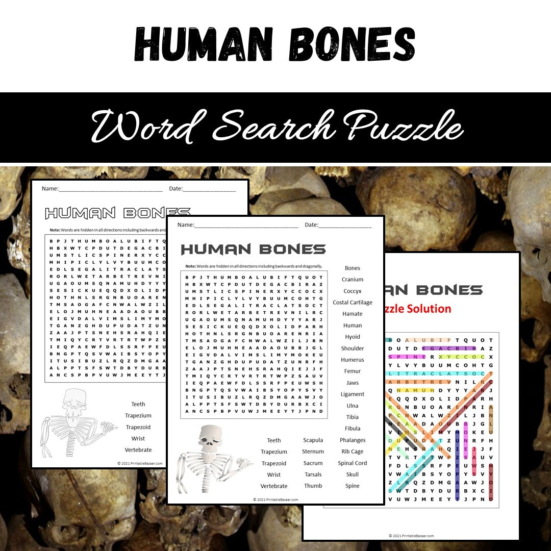 Human Bones Word Search Puzzle Worksheet PDF