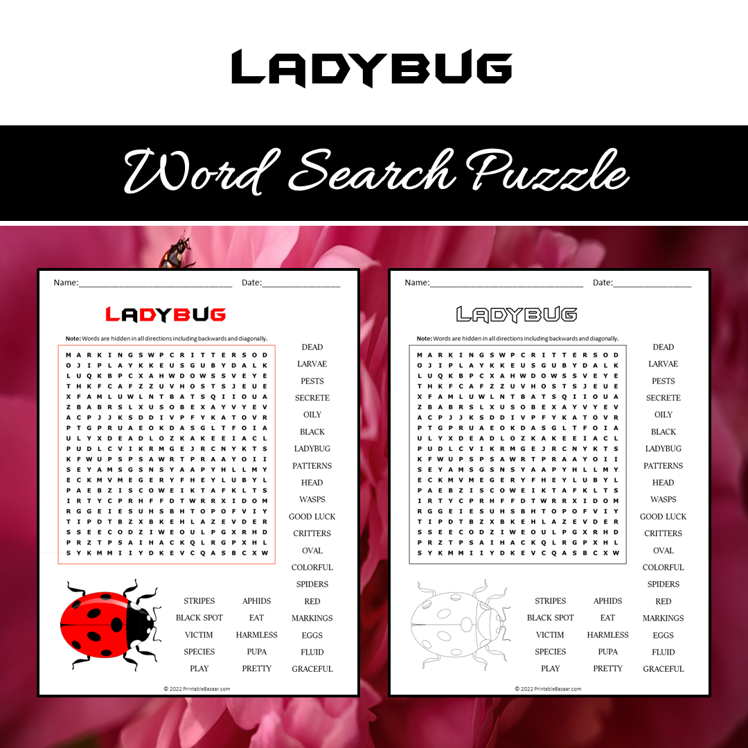 Ladybug Word Search Puzzle Worksheet PDF – PrintableBazaar